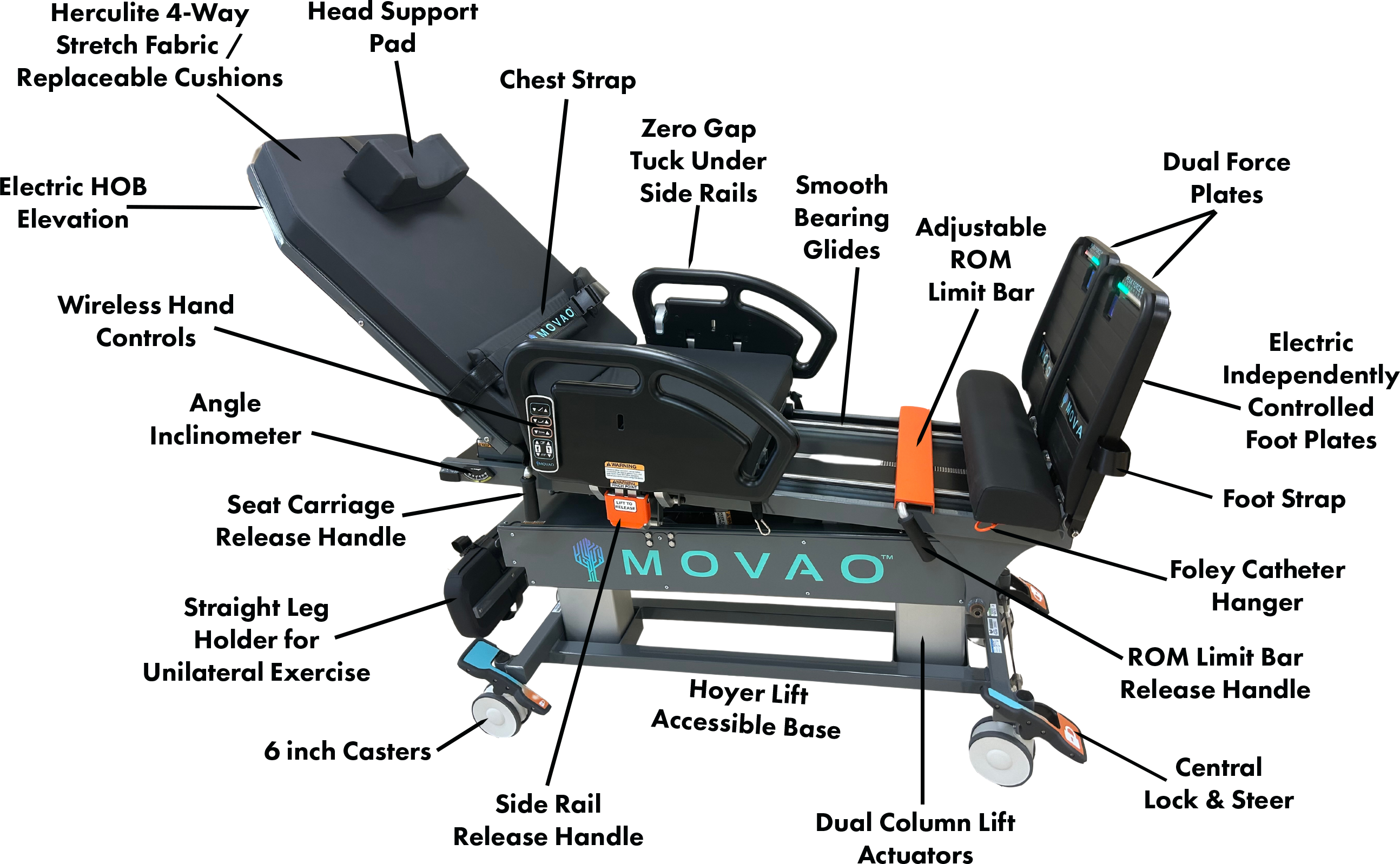 Movao Bari Features Identified Copy